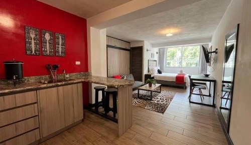 One-Bedroom Apartment