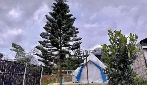 Tent