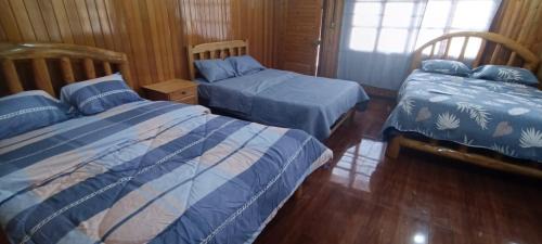 Room #1184065005
