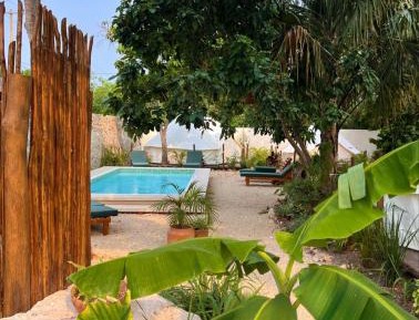 King Room with Pool View