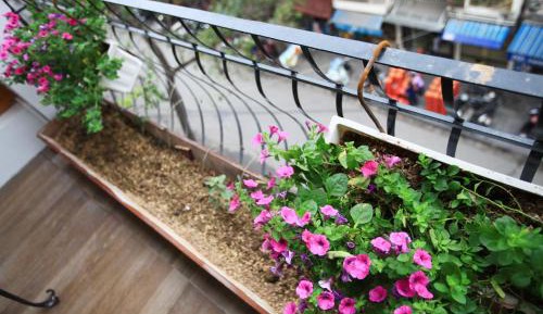 Family Suite with Balcony