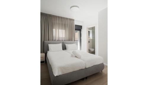 Two-Bedroom Deluxe Apartment