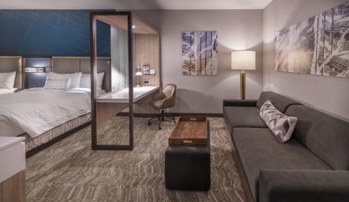 Suite, 1 King, Sofa bed