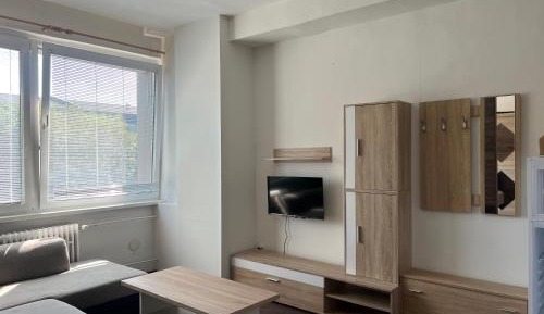 One-Bedroom Premier Apartment