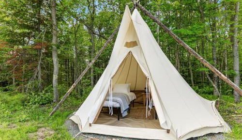 Stargazer with Kids Tent