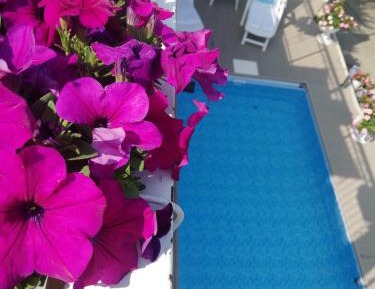 Studio with Pool View