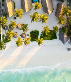 Bungalow - Beach Front