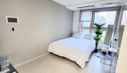 One-Bedroom Apartment - Non-Smoking