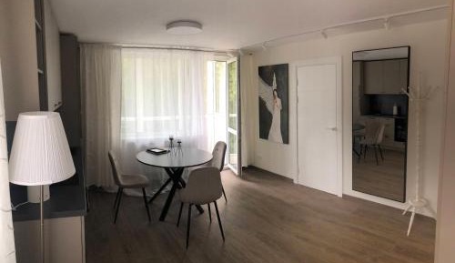 One-Bedroom Apartment with Balcony