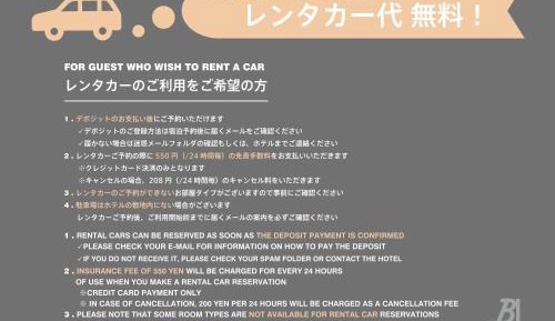 Comfort Pet Apartment - Pet Friendly (Rental Car Included)