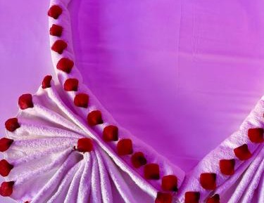 Deluxe Suite with Spa Bath