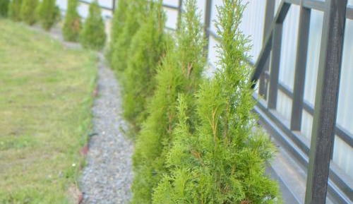 Double Room with Park View