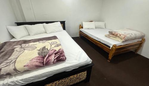 Deluxe Double or Twin Room with Mountain View
