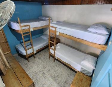 Bed in 4-Bed Mixed Dormitory Room
