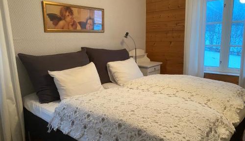 Deluxe Double or Twin Room with Mountain View
