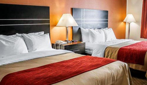 Deluxe Queen Room with Two Queen Beds