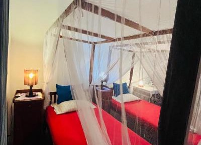 Double or Twin Room with Terrace