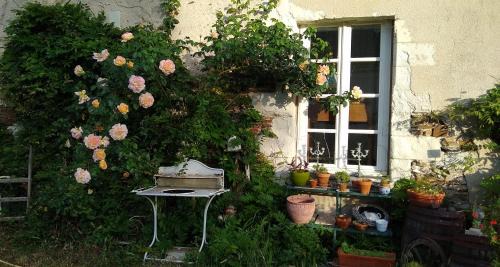 Double Room with Terrace