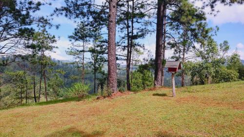 Double Room with Mountain View