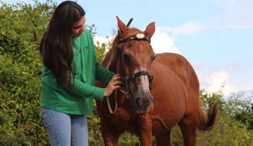Twin Room with Balcony
