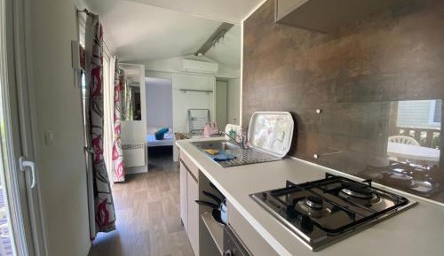 Mobile Home