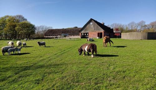 Apartment - Split Level