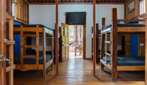 Bunk Bed in Mixed Dormitory Room