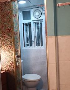 Single Bed in Mixed Dormitory Room