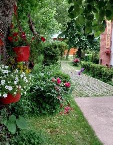 Apartment with Garden View