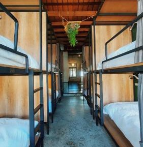Bunk Bed in Female Dormitory Room  