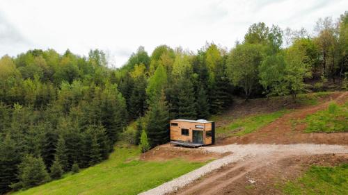 Mobile Home