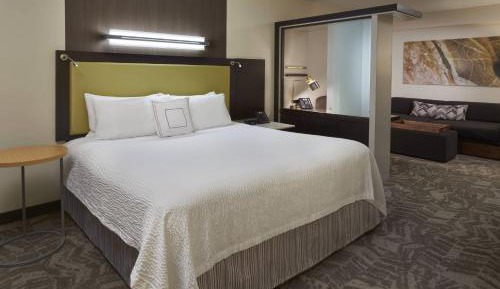 King Suite with Whirlpool and Sofa Bed