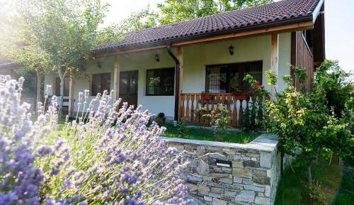 Villa with Garden View