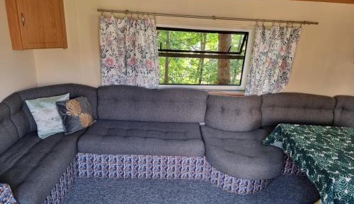 Mobile Home