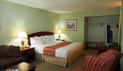 King Room - Non-Smoking Pet Friendly