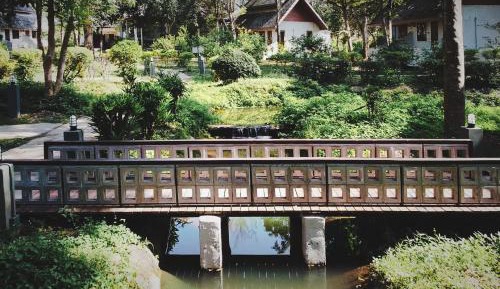 Double Room with Garden View