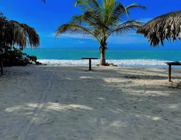 Deluxe Double or Twin Room with Sea View