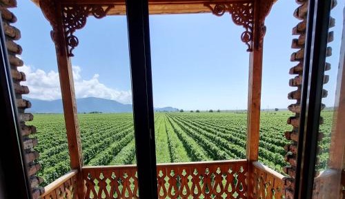 Double Room with Mountain View