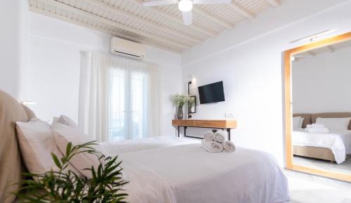 Deluxe Double or Twin Room with Sea View