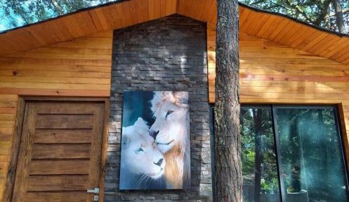 One-Bedroom Chalet