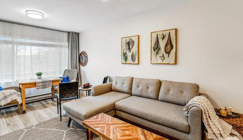 One Bedroom Apartment