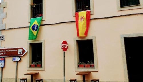 Bed in 6-Bed Mixed Dormitory Room