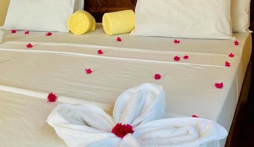 Double or Twin Side View