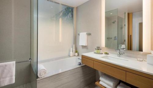 Classic King Room with City View