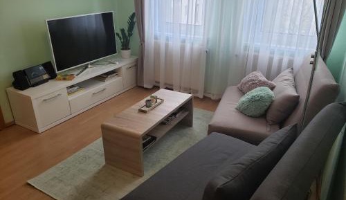 Apartment with Shower