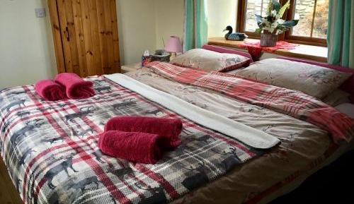 Double or Twin Room with Shower