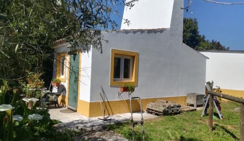 Studio with Garden View