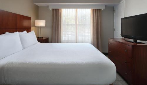 One-Bedroom Queen Suite with Sofa Bed