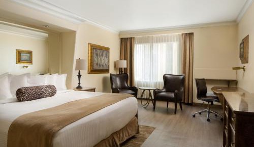 King Room