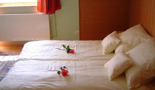 Apartment (2-4 Adults)
